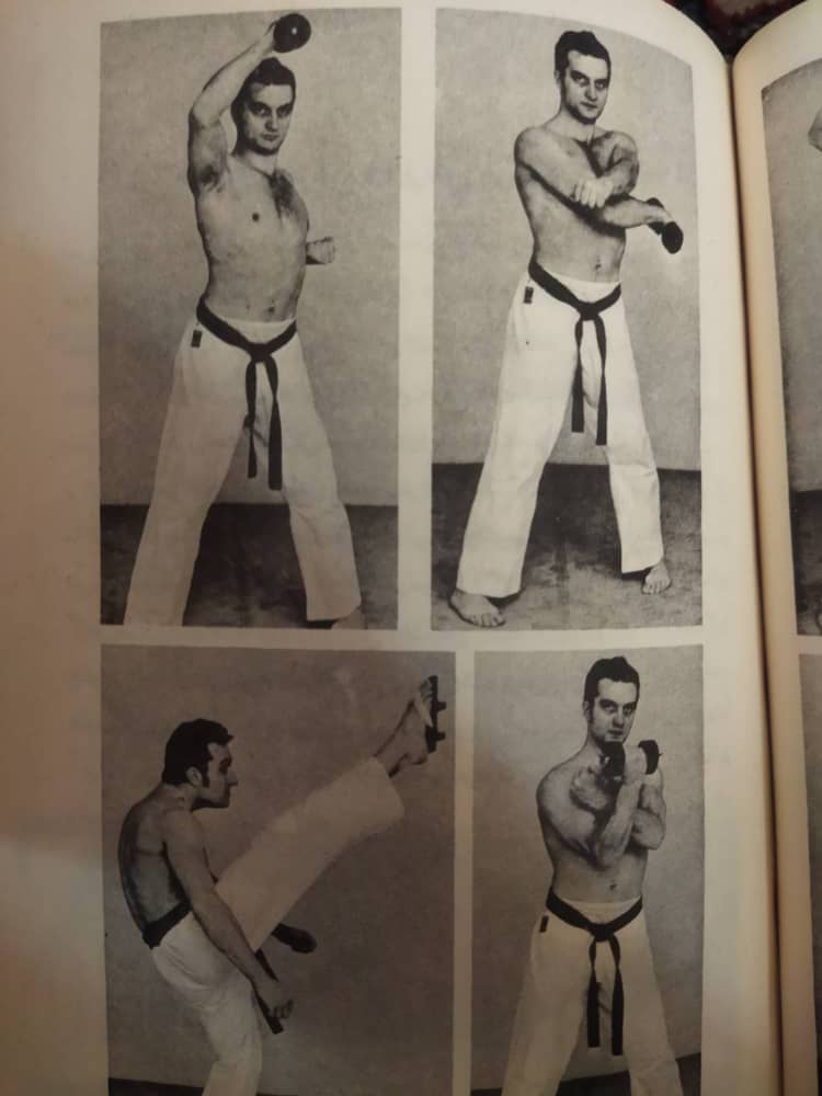 آموزش هنرهای رزمی ترکیبی و سبکی حمزه شیران پاپی در دزفول